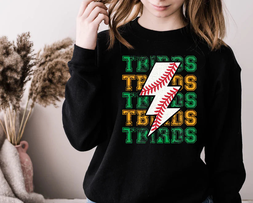 TBirds Baseball Tee or Sweatshirt