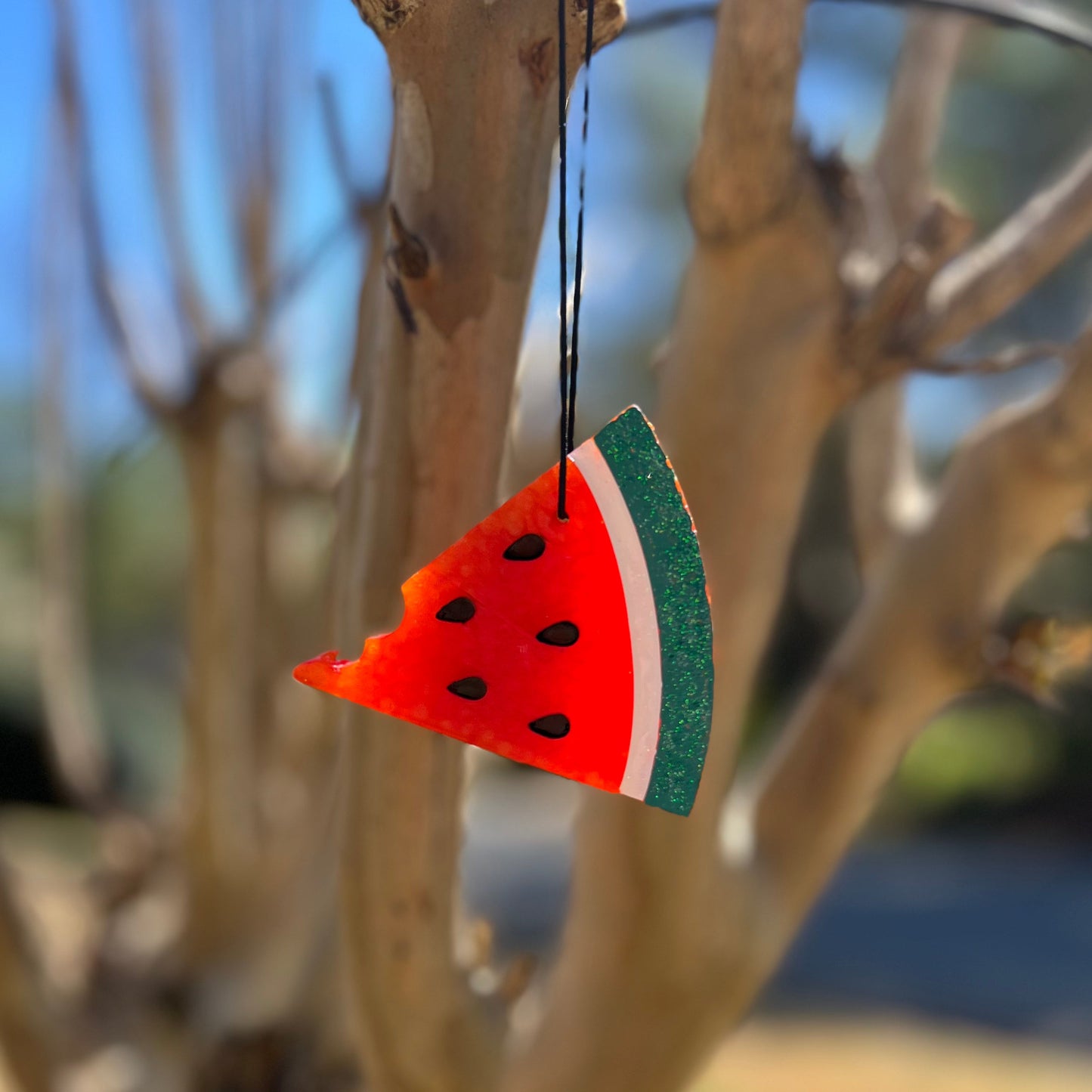 Watermelon Slice Freshie
