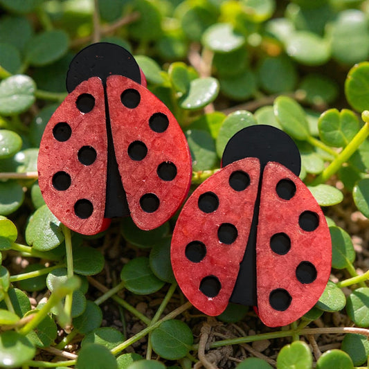 Ladybug Vents and Magnet - KD Lane